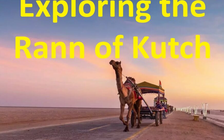 Exploring the Rann of Kutch: A Journey Through the White Desert, Black Hills, and Dholavira