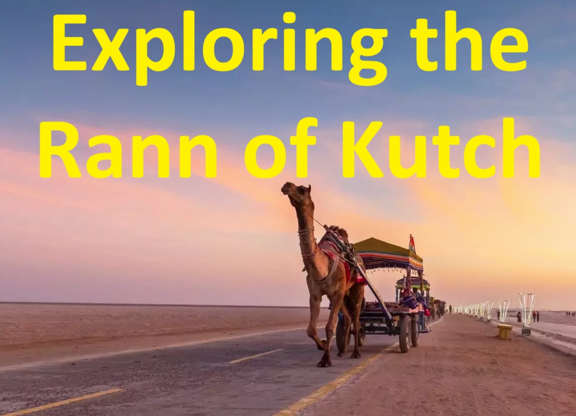 Exploring the Rann of Kutch: A Journey Through the White Desert, Black Hills, and Dholavira