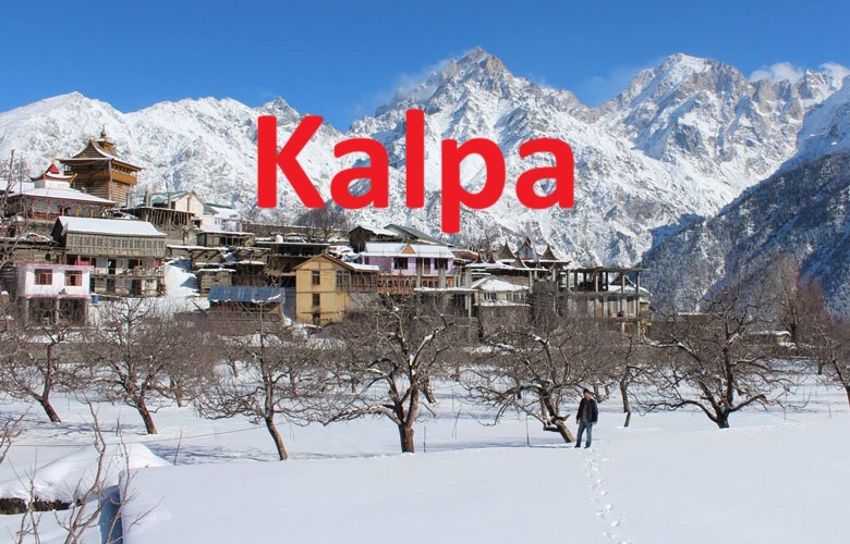 Is Kalpa the Most Jaw-Dropping Village in the Himalayas? Discover Kalpa, Kinnaur Valley