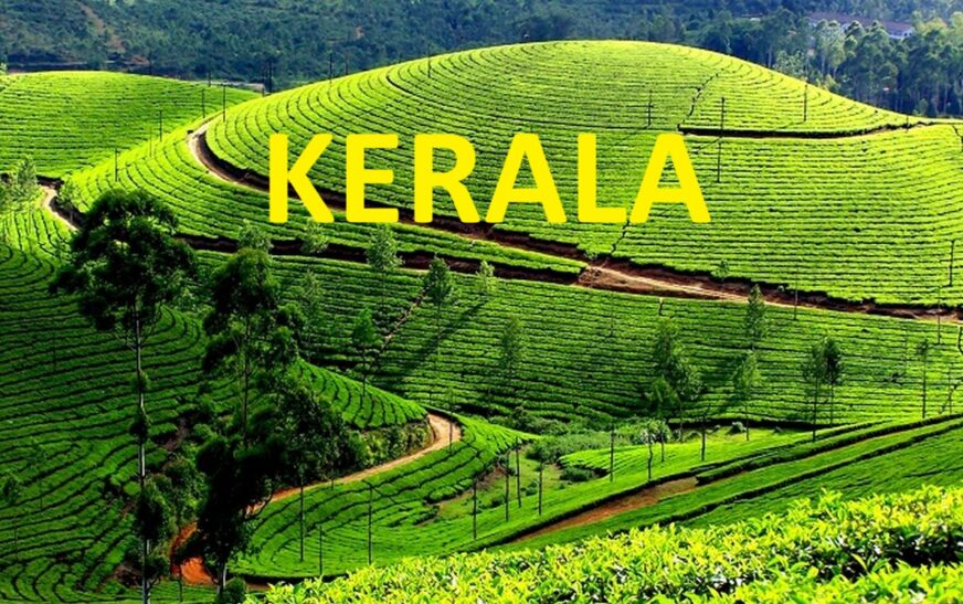 Discover Munnar: Kerala’s Hidden Gem and South India’s Most Scenic Destination