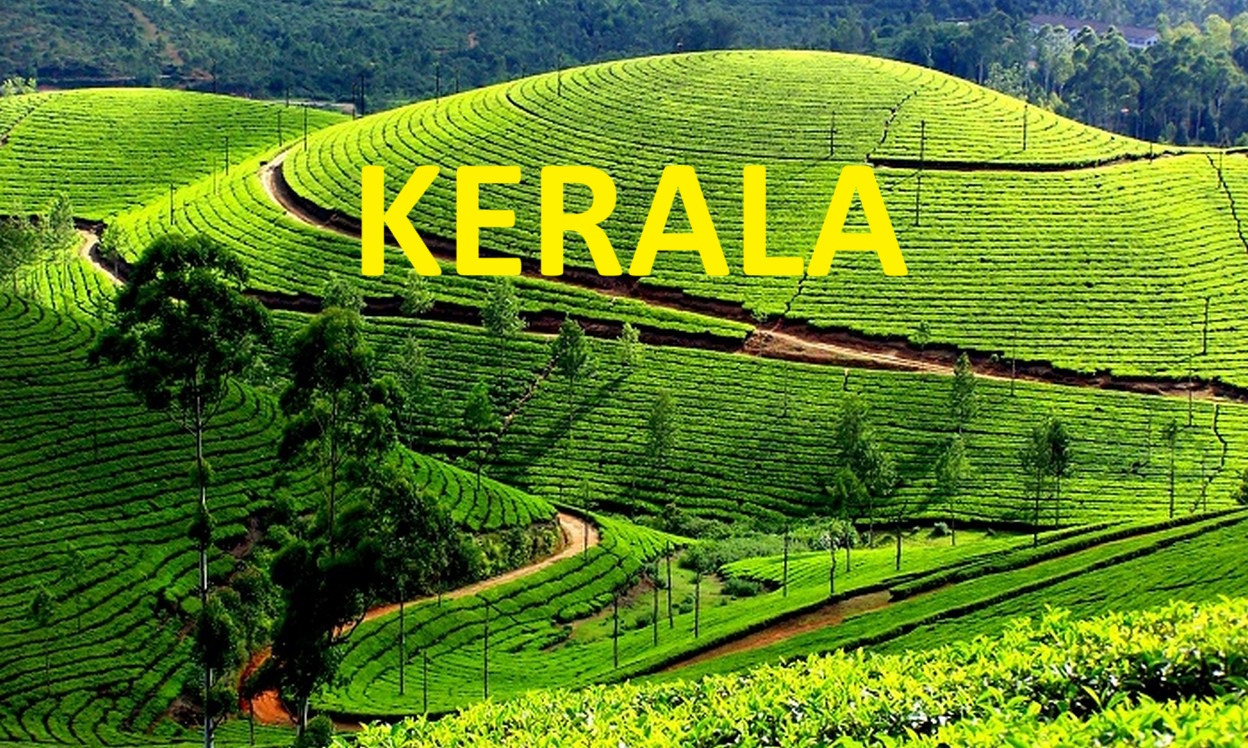 Discover Munnar: Kerala’s Hidden Gem and South India’s Most Scenic Destination